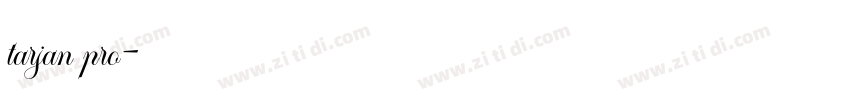 tarjan pro字体转换